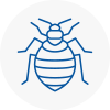 Bed Bug Extermination In Ringway